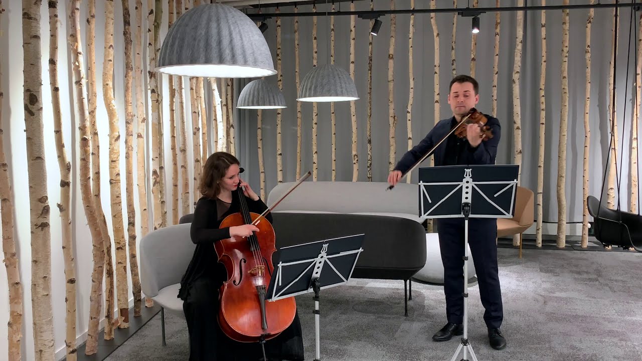 You Are The Reason Duet - Violine & Cello Cover
