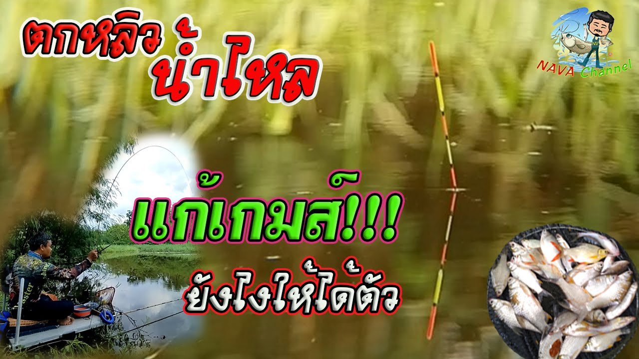 EP67 ตกปลาหมายธรรมชาติ ตกชิงหลิวน้ำไหล คลองสาขาแม่น้ำป่าสัก จ.ลพบุรี แก้เกมส์ปลากินยากยังไงให้ได้ตัว