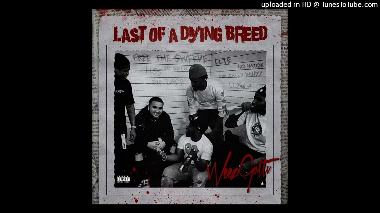 WeezGotti - OoWee Ft C0ldgame
