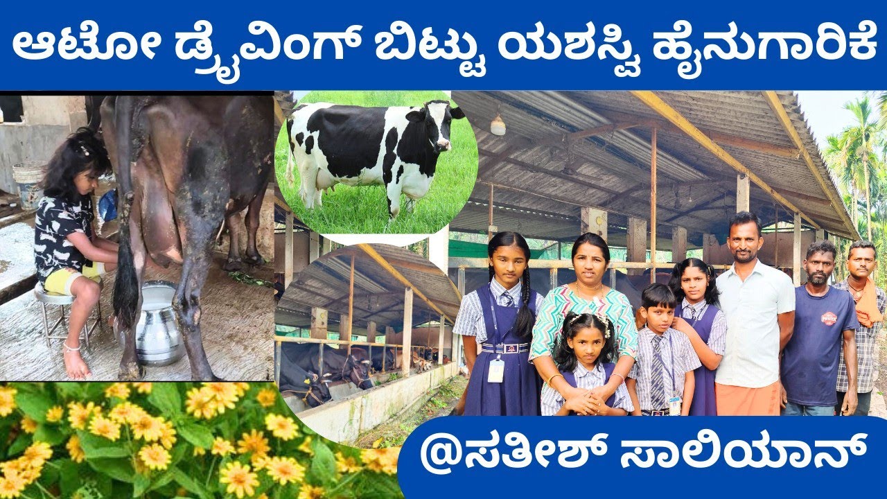 ಹಳದಿ ಹೂವಿನ ಹುಲ್ಲು ಹಾಲಿನ ರಹಸ್ಯ‼️HF ದನದ ಹಾಲು ಕರೆಯುವ 8 ವರ್ಷದ ಮಗು👌👌 ಇದು ಬದುಕಿನಪಾಠ ಗುರಿಪಲ್ಲ ಬೆಳ್ತಂಗಡಿ 