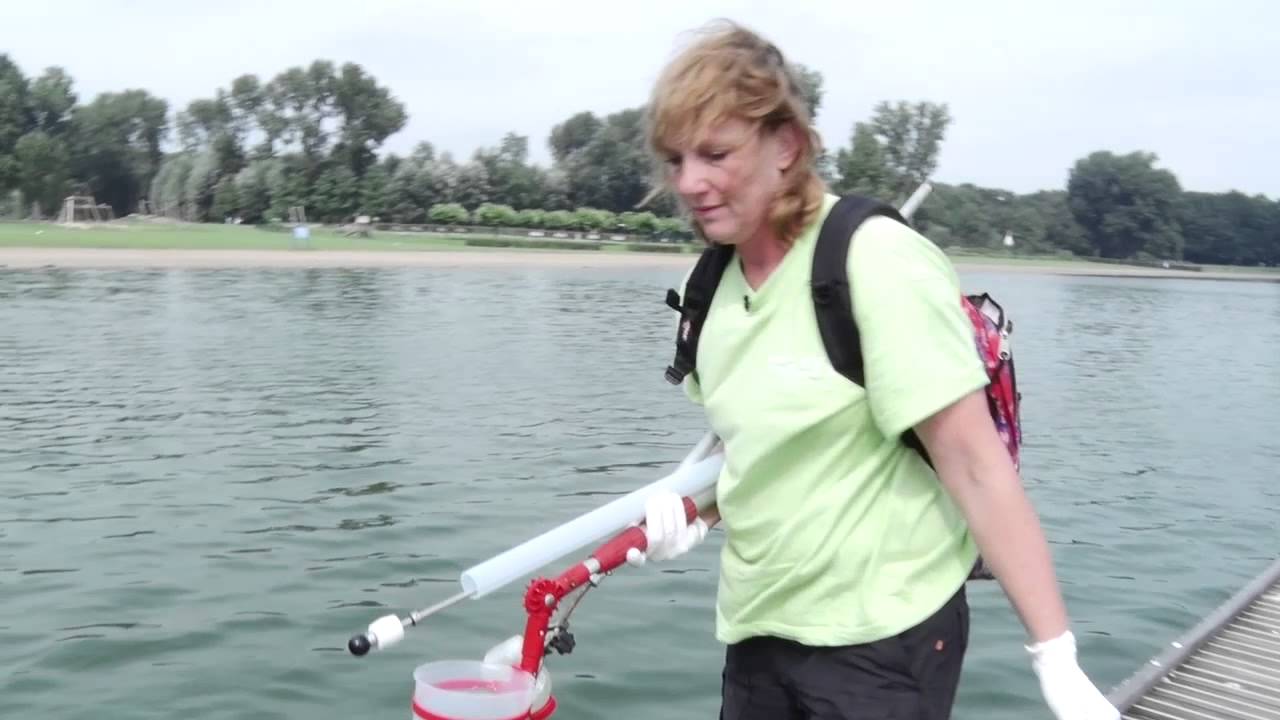 010nu - Strenge controle op kwaliteit zwemwater Rotterdam