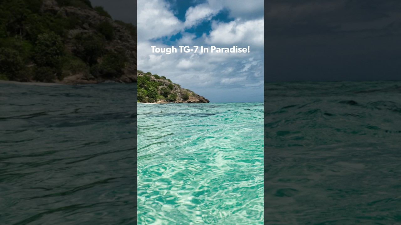 OM SYSTEM TG-7: The Best Point & Shoot Camera for Underwater Adventures and More!  #omsystem