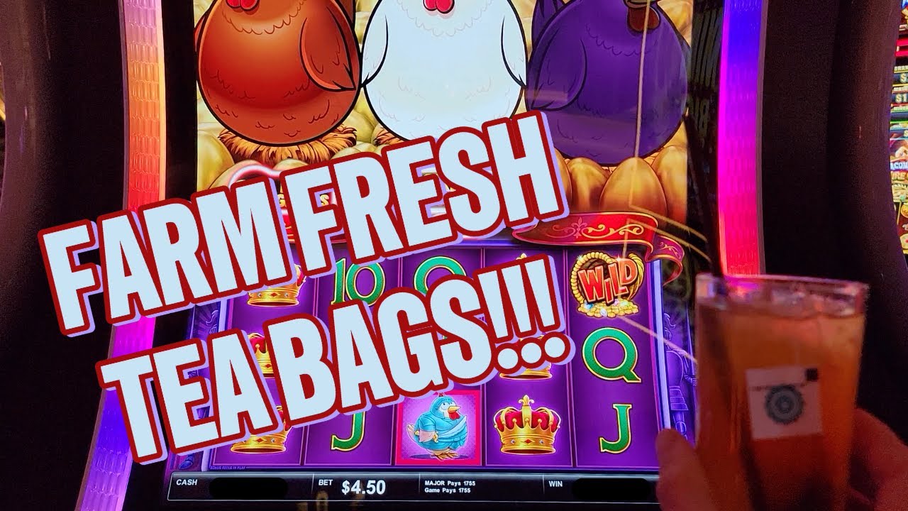 DREAM BONUS!!! ✨ REALLY BIG HEN… REALLY TASTY WIN!!! 🐔 Rich Little Hens!!!