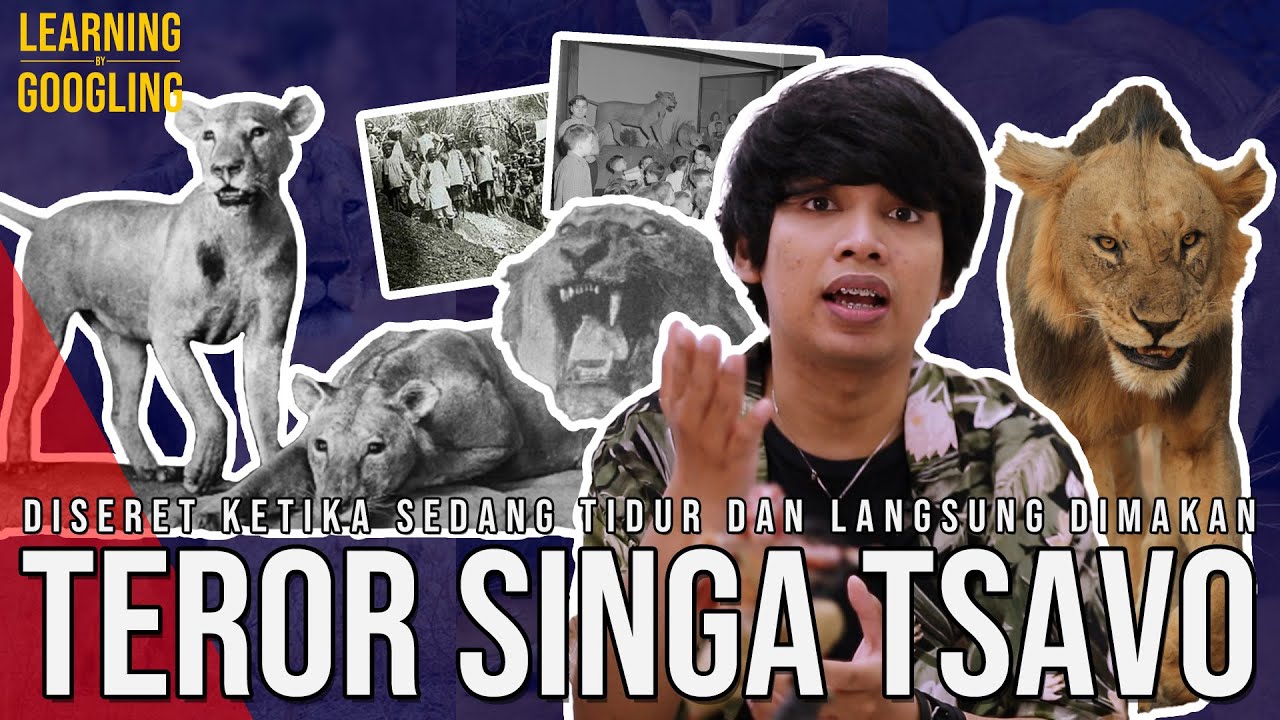 Teror 2 Singa Pemakan Manusia! Orang Lagi Tidur Diseret Keluar & Dimakan | Learning By Googling #111