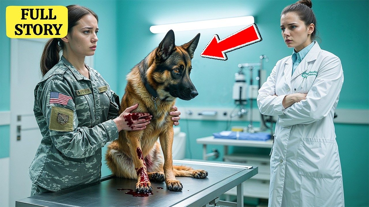 Vet Refuses To Treat Female Ranger’s Dog - But The Truth Makes Him Instantly Regret It.