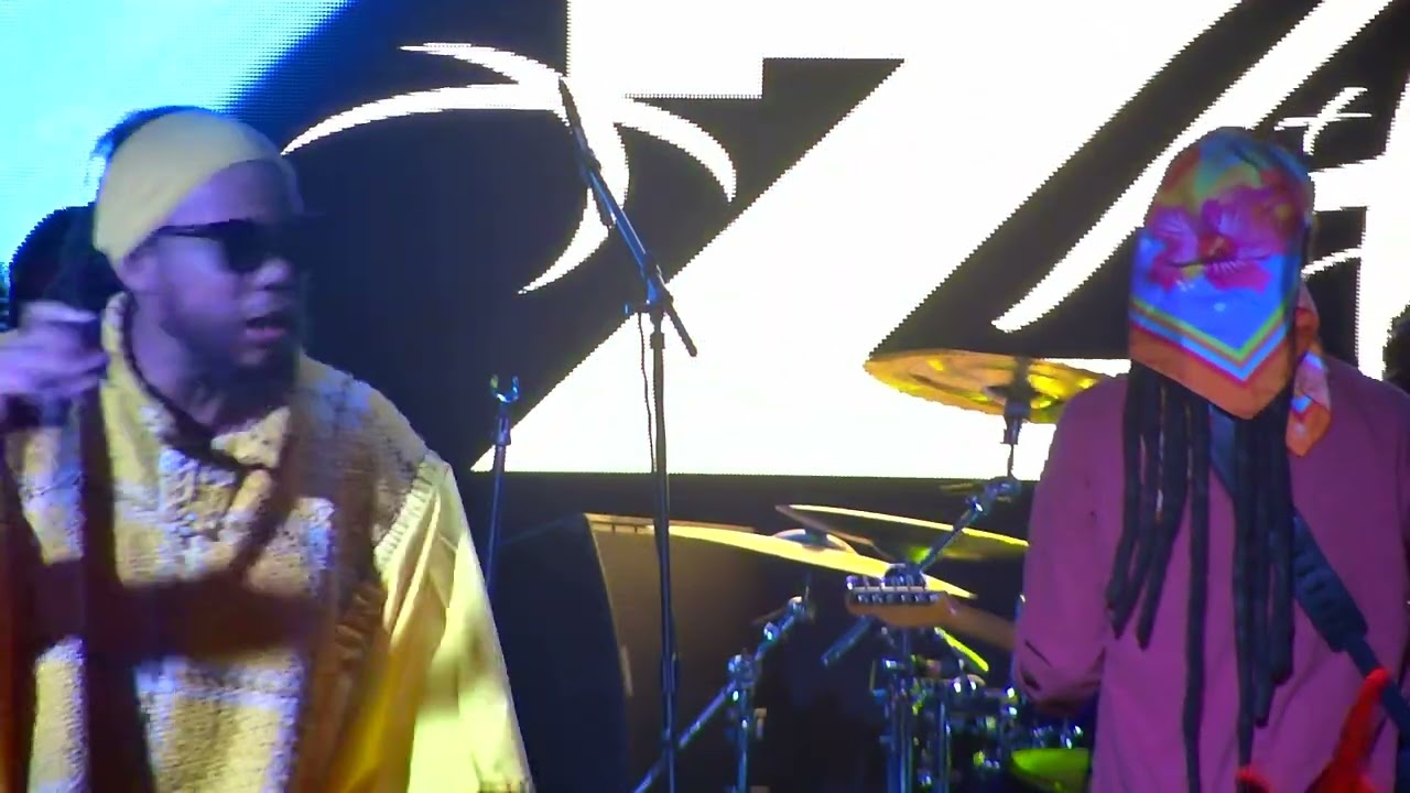 Zafem thanksgiving weekend live Boston