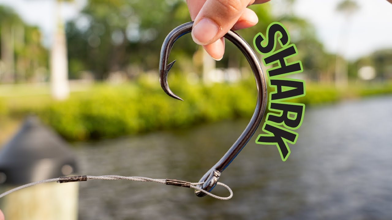 Crafting the Ultimate Big Shark Rig from Start to Finish!