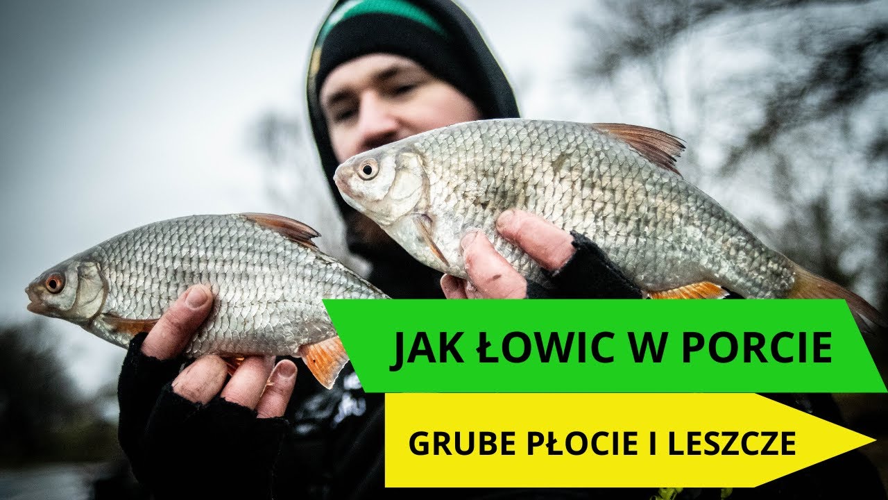 Taktyka na Medalowe Płocie / Grube Płocie i Leszcze / feeder klasyczny