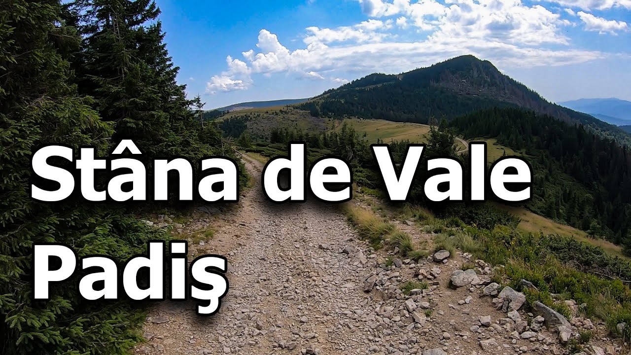 Stana de Vale - Padis