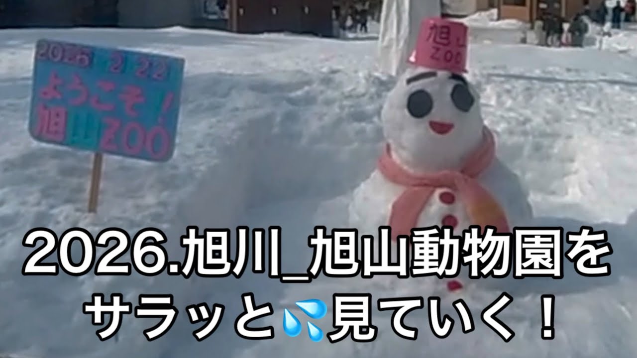 2026.旭川_旭山動物園をサラッと💦見ていく！