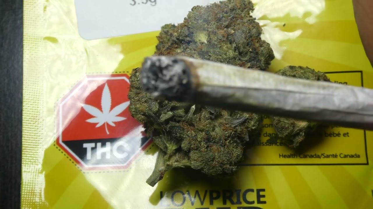 Grandaddy Rockstar fr Low Price Bud(Smoke)