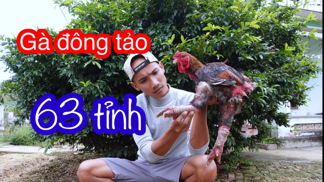 Chân Gà Đông Tảo , Lẩu Mắm , Mắt Cá Ngừ Đại Dương , Khô Cá Lóc - Ẩm Thực 63 Tỉnh | Son Duoc Vlogs
