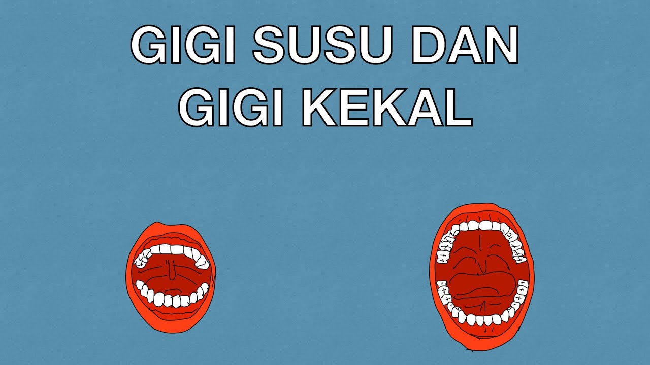 Sains Tahun 3: Gigi Susu dan Gigi Kekal #cikgooTube #CikguZoul