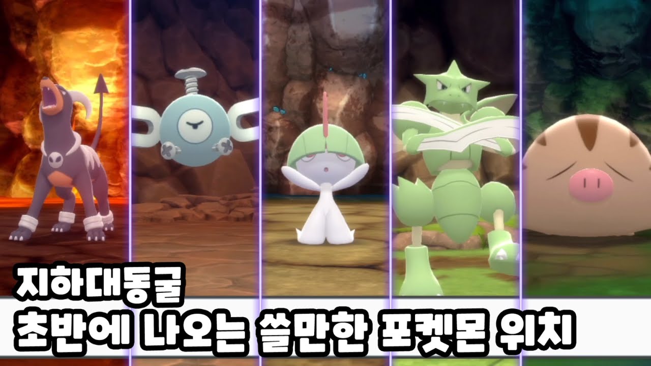 [브다샤펄] 지하 대동굴 초반에 나오는 쓸만한 포켓몬 위치