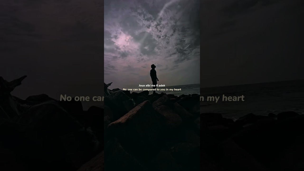 Hadal Ahbek - Issam Alnajjar | lyrics | aesthetic | whatsapp Status | English songs | slowed #lyrics