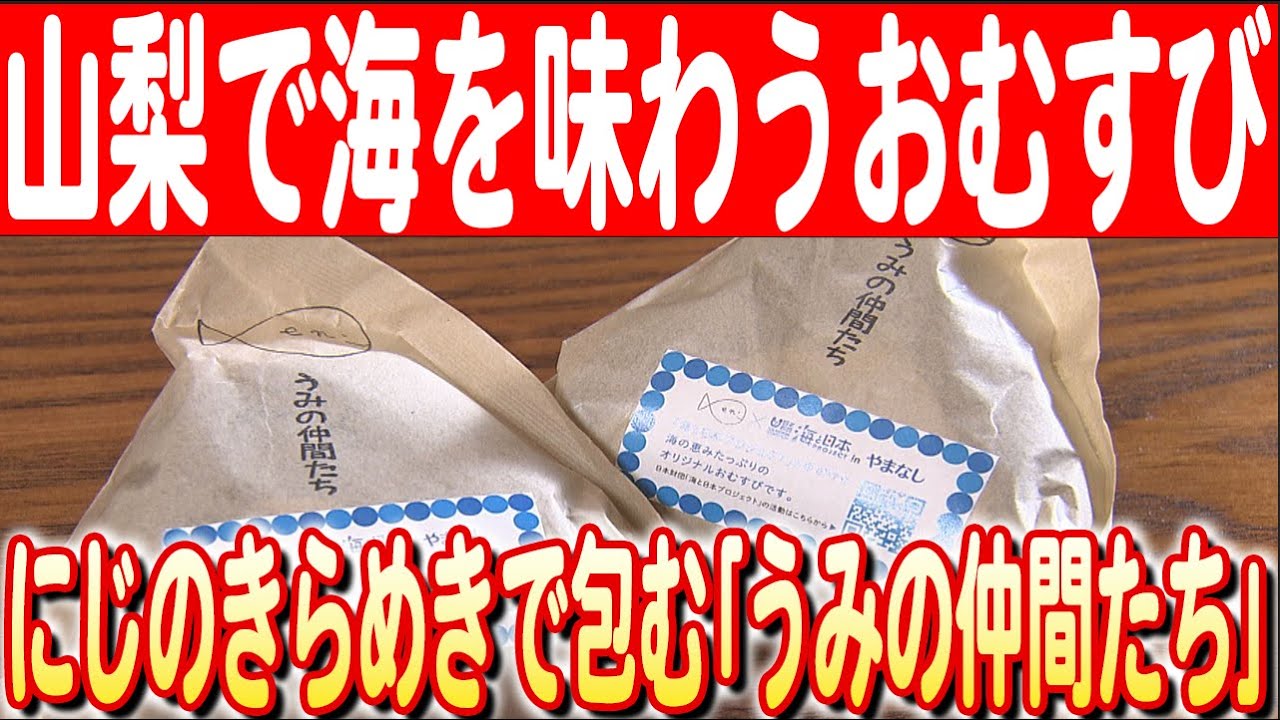 【山梨から海を想う】海なし県で生まれた&ldquo;海&rdquo;のおむすび「うみの仲間たち」　日本財団 海と日本PROJECT in やまなし 2024 #17