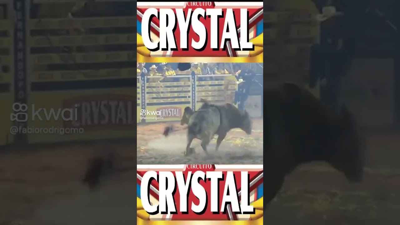 joão ricardo vieira 🆚️ fera goiana da cia marcelo tomateiro ailton amorim 🆚️ convento