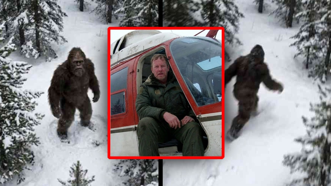 Pilot Confirms Bigfoot Hiding in Alaska's Remote Wilderness