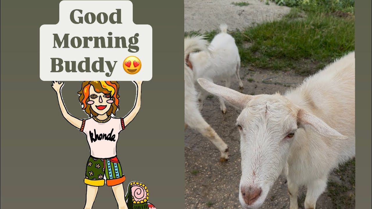 Let&rsquo;s meet some goats on this shortcut to the Popovo Bulgaria train station