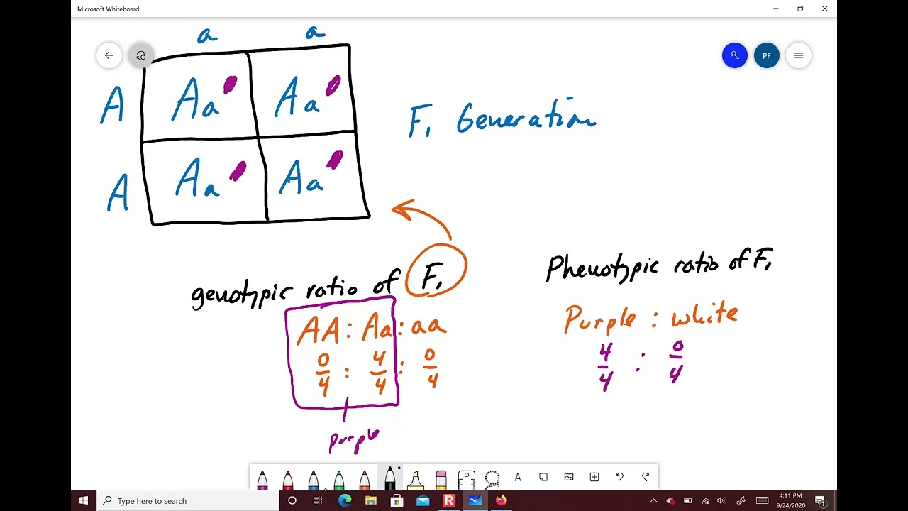 Complete Dominance Lecture Video