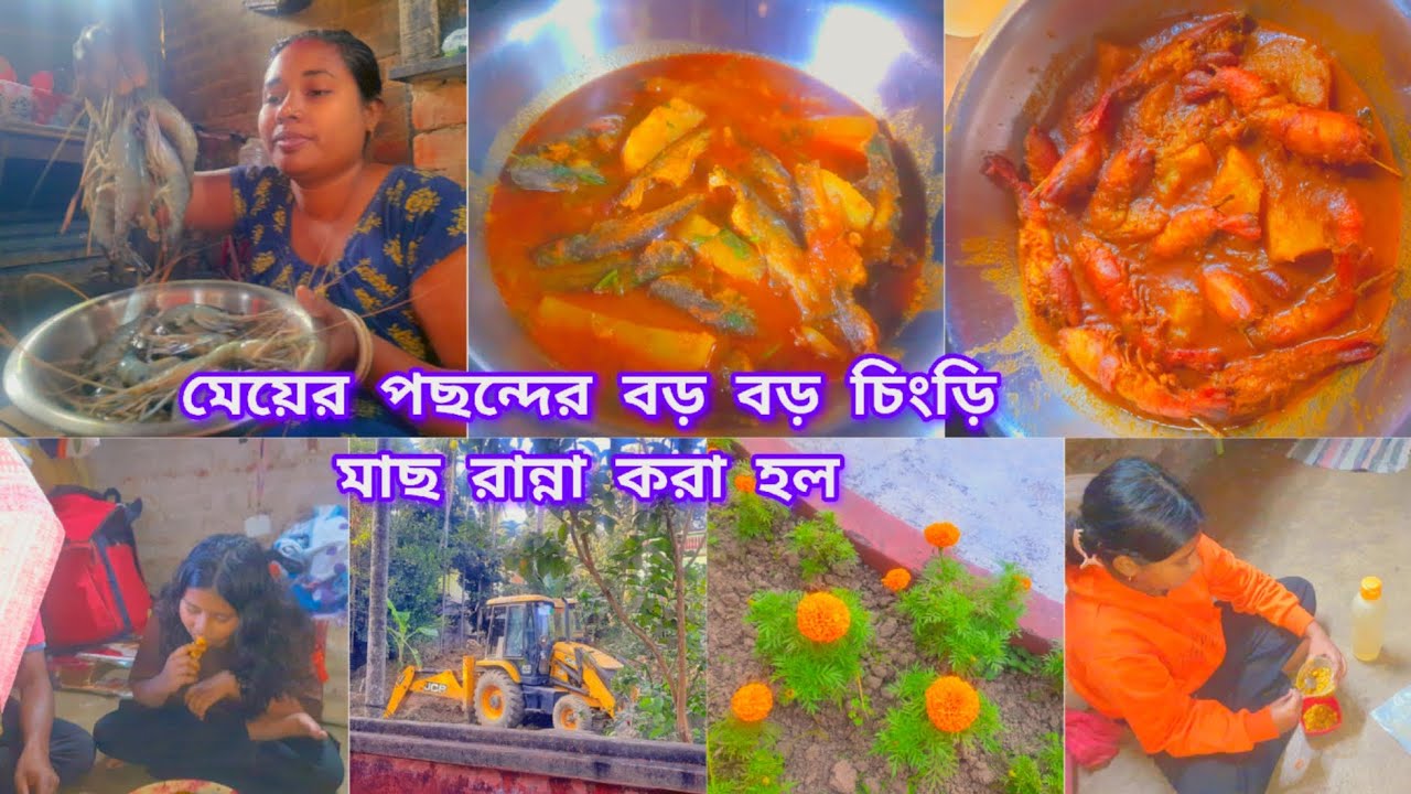 বাড়িতে কাকা আনলো মেয়ের পছন্দের মাছ।মেয়ের পছন্দের মাছ দিয়ে চিংড়ি র মালাই কারি রান্না করা হল।