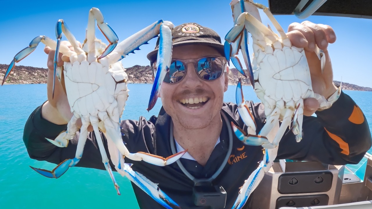 I Knew They Were Big&hellip; But Not THIS Big!! - Blue Swimmer Catch and Cook