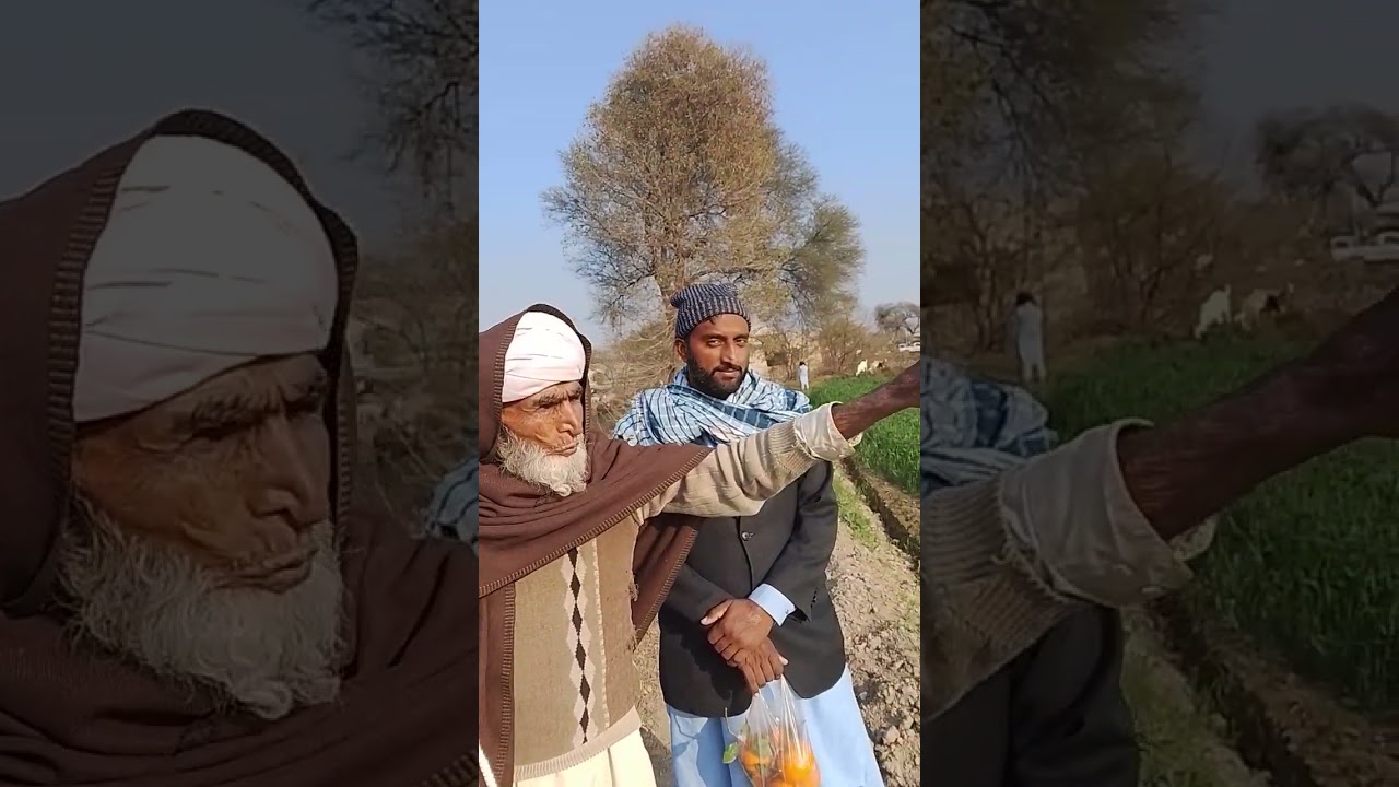 105 سال کا بابا بکریاں چرا رہا ہے 