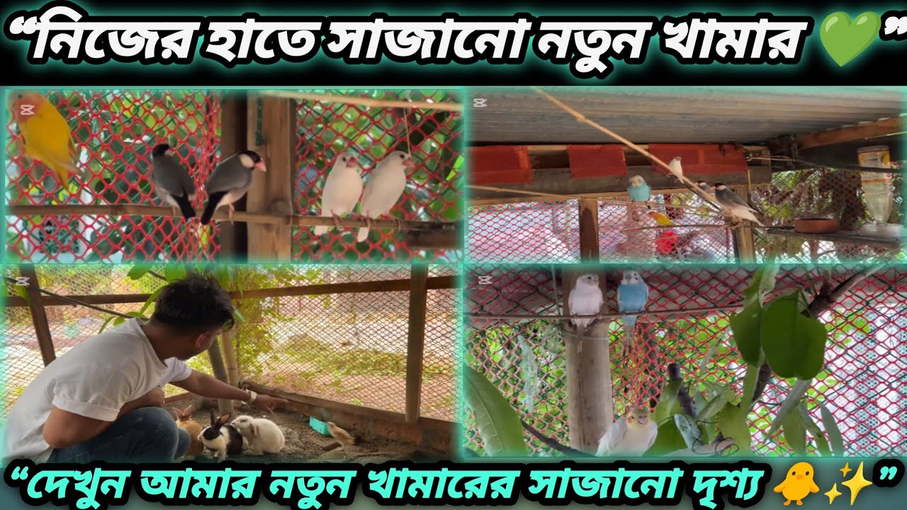 আমার শখের খামারের নতুন সেট আপ | My Dream Farm Setup 2025 | Bangla Village Vlog |