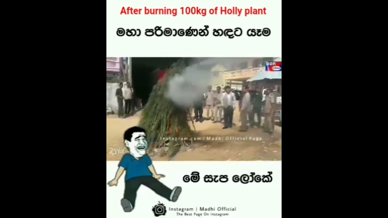 Jamaica daily life