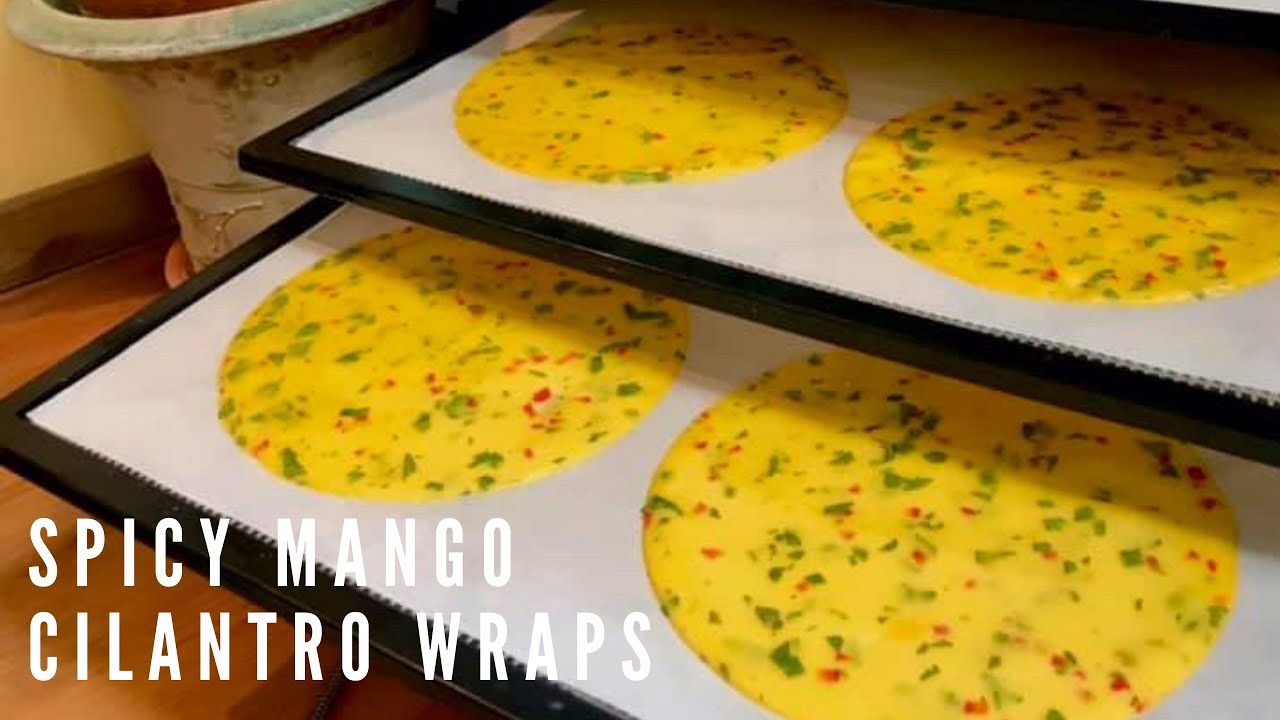 Spicy Mango Cilantro Wraps