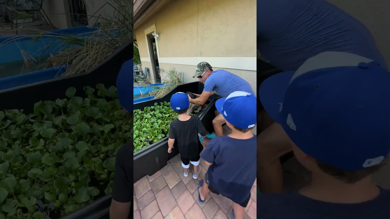 CATCH A TURTLE WITH A SUBSCRIBER