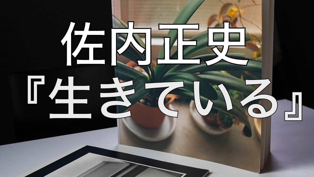 日本の写真の転換点『生きている』