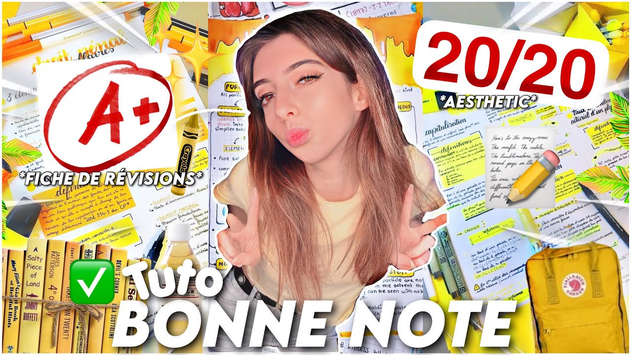 COMMENT AVOIR DE BONNES NOTES *20/20, FICHES DE RÉVISIONS, AESTHETIC*  ✅