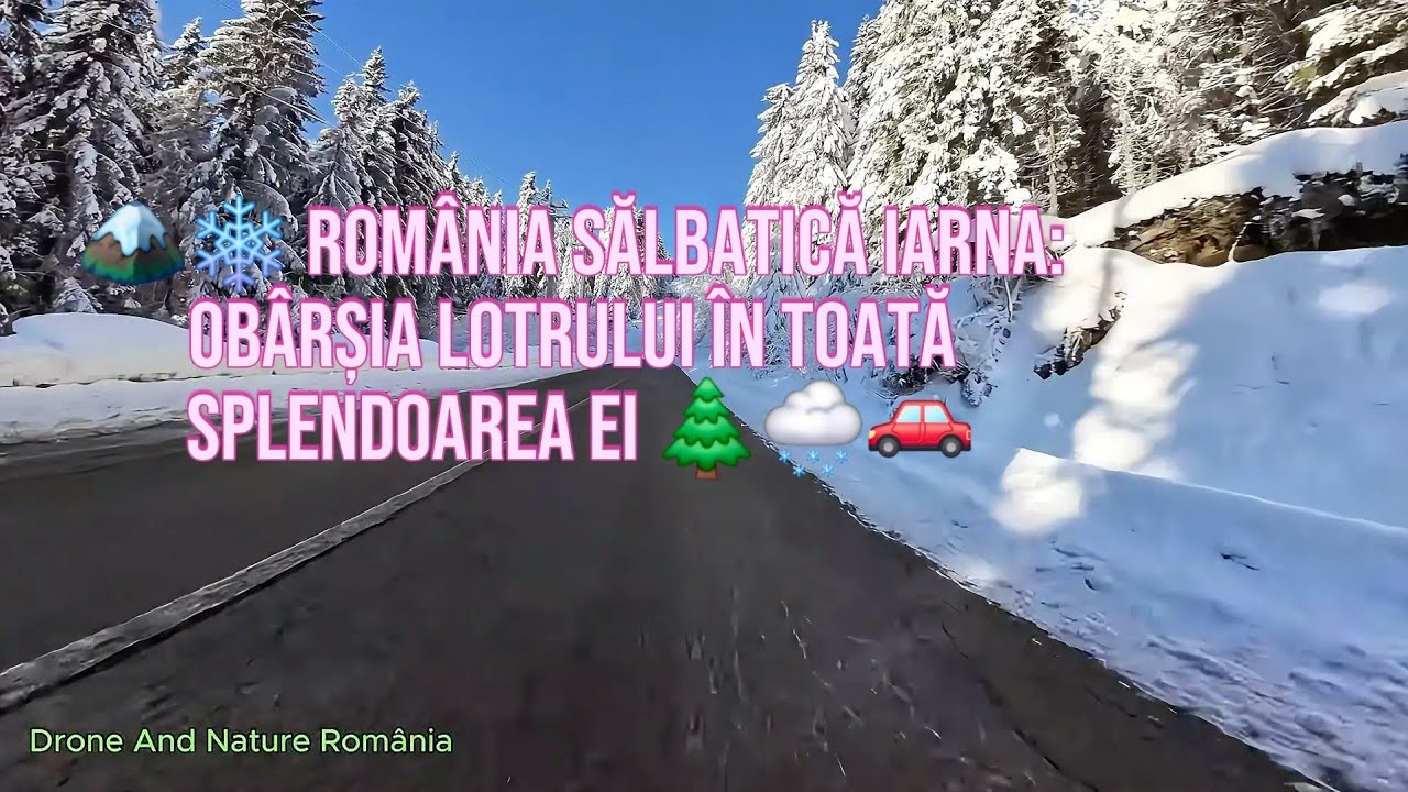 Peisaj de vis iarna la Obârșia Lotrului | Filmat din mașină”