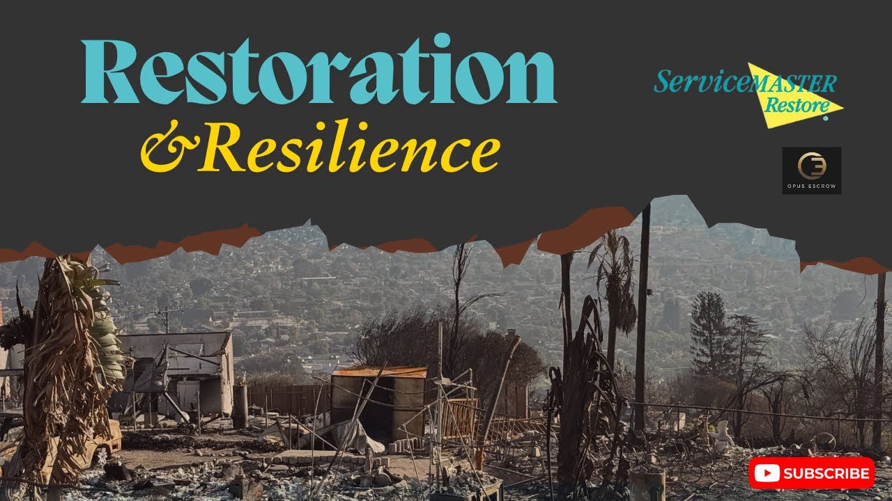 Restoration Insights: Navigating Disasters #restoration #cleaning #disaster #naturaldisaster