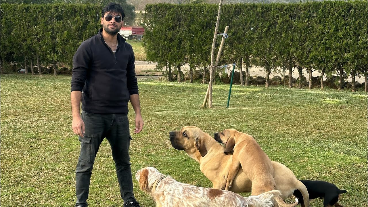 Mis perros y patos 😂💝😍 !!for more subscribers!! @Waitforlucky 