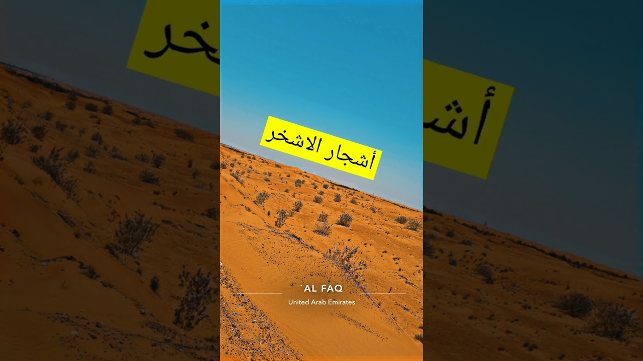 موسم عسل الأشخر( العشر ) في دولة الإمارات 🇦🇪 