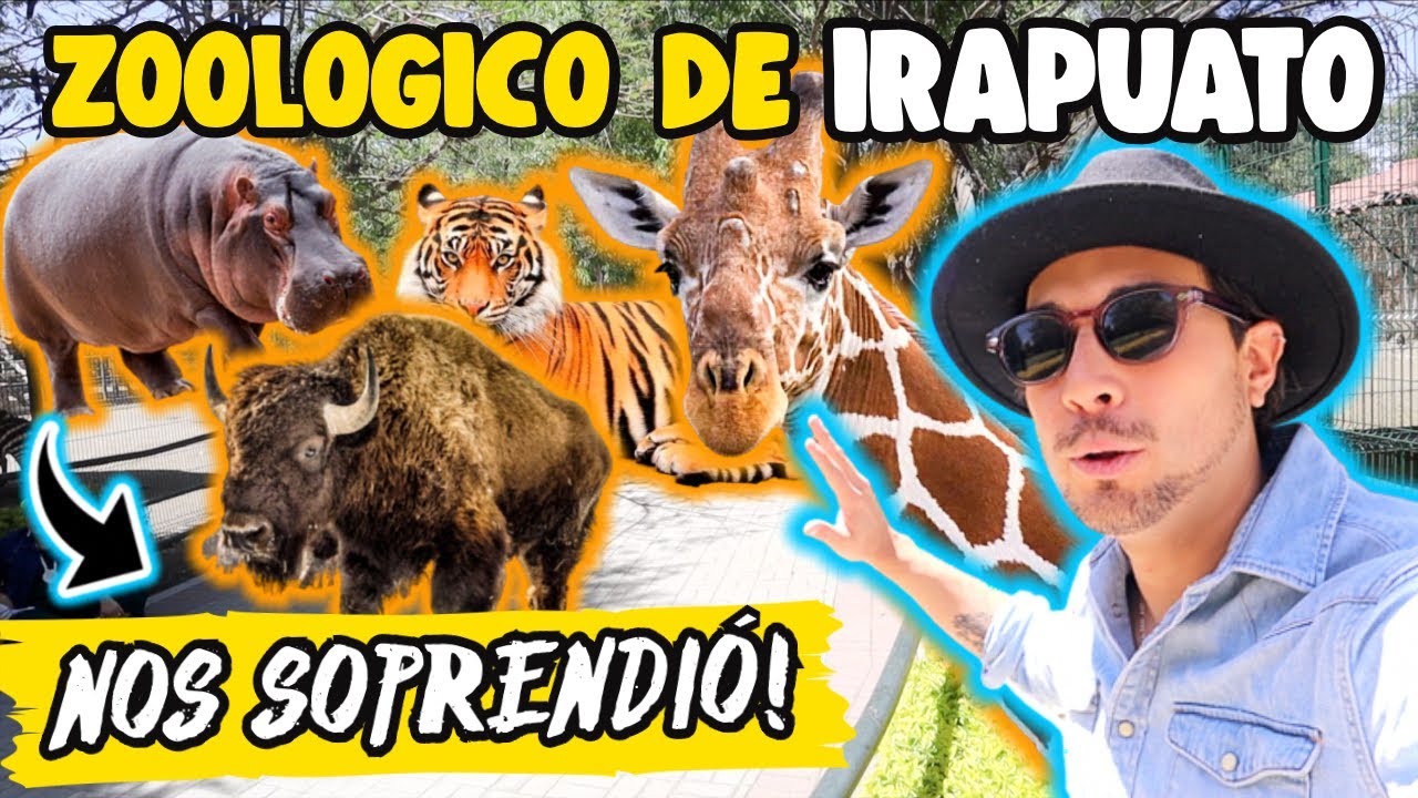 ZOOLÓGICO de IRAPUATO de los MÁS BONITOS en MEXICO🇲🇽🦁🦒 Precios y GUÍA COMPLETA✅