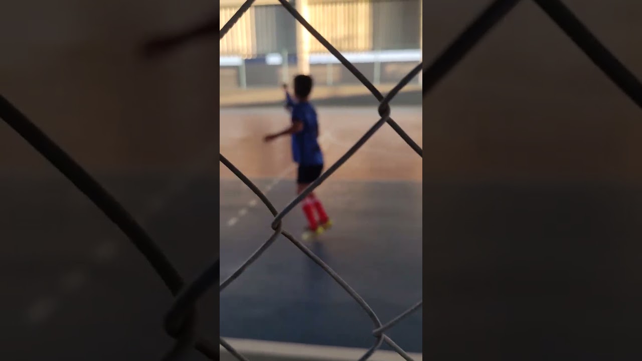 Voltando as origens 