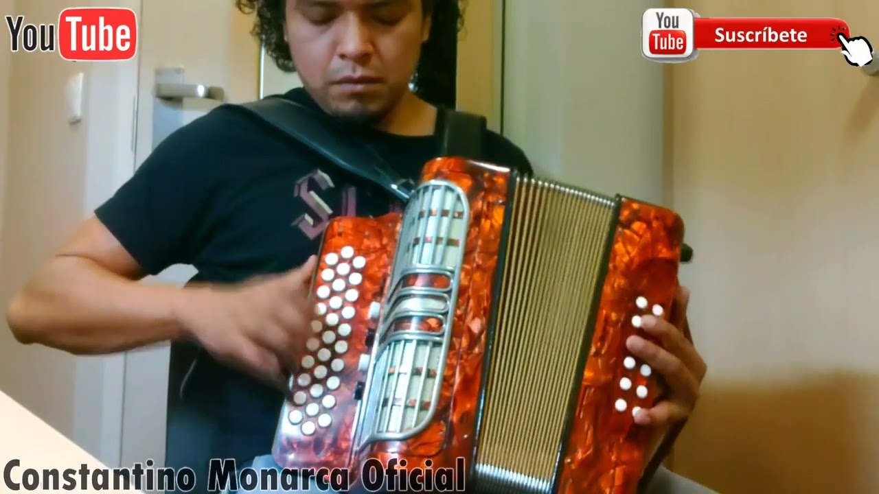 Polka Santa Rita, Acordeón cover