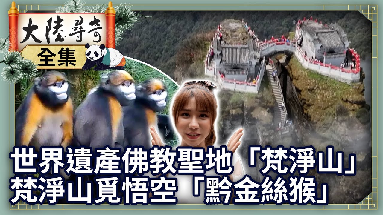 《完整版》世界遺產佛教聖地「梵淨山」 　梵淨山覓悟空「黔金絲猴」【‪‪‪‪@大陸尋奇EP2059】