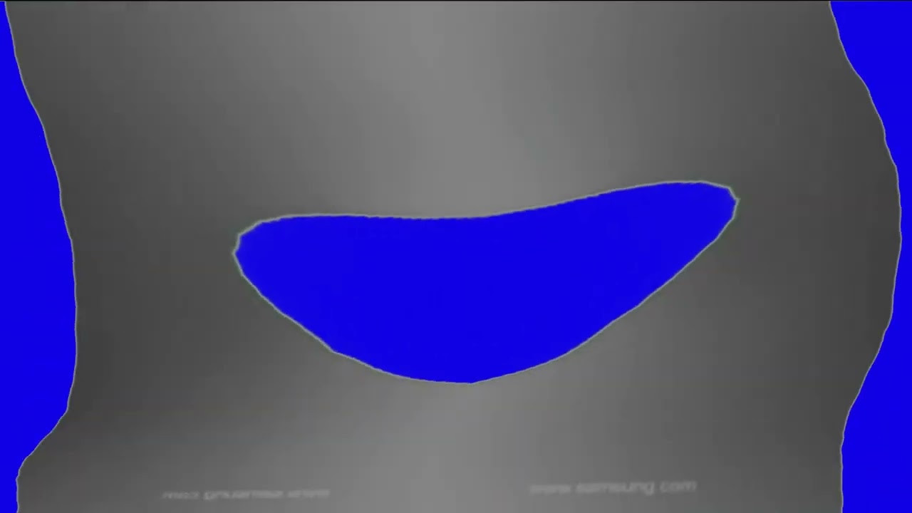 Samsung Logo History in Pixitracker Major 4952