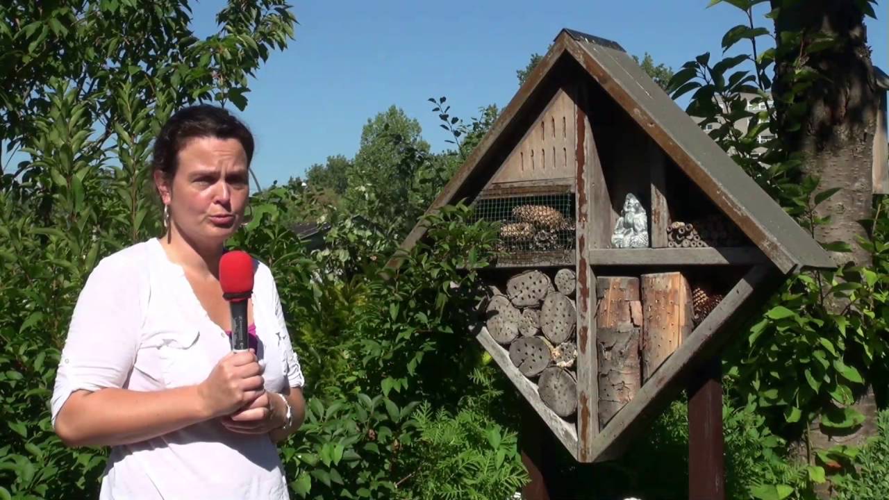RTV Discus Volkstuinvereniging  Nooit Gedacht