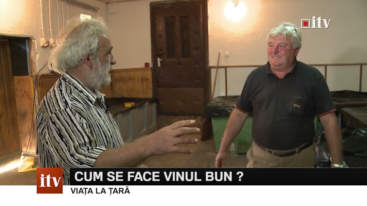 CUM SE FACE VINUL BUN IN BELTIUG / INFORMATIA TV