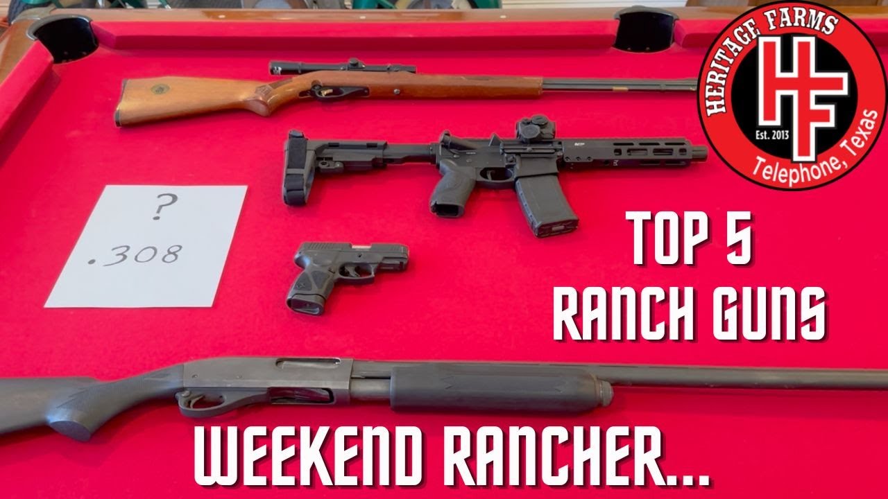 Top 5 Ranch / Farm guns