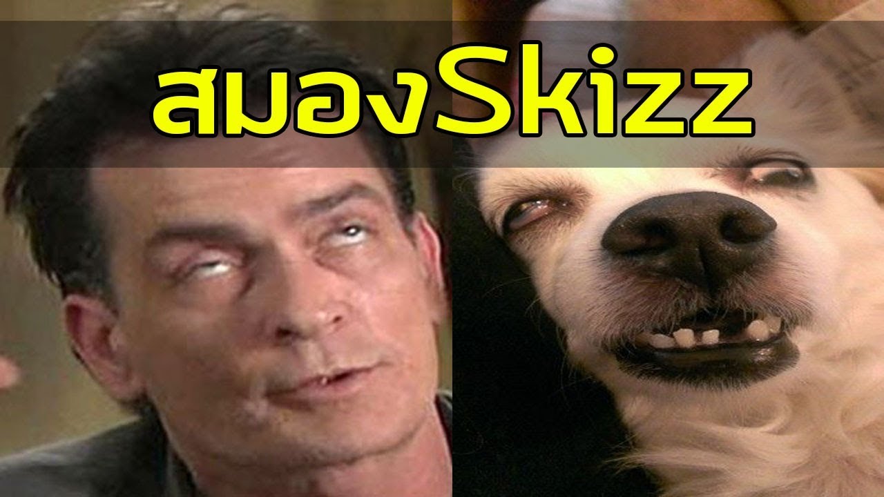 นี่คือสมองSkizzTV