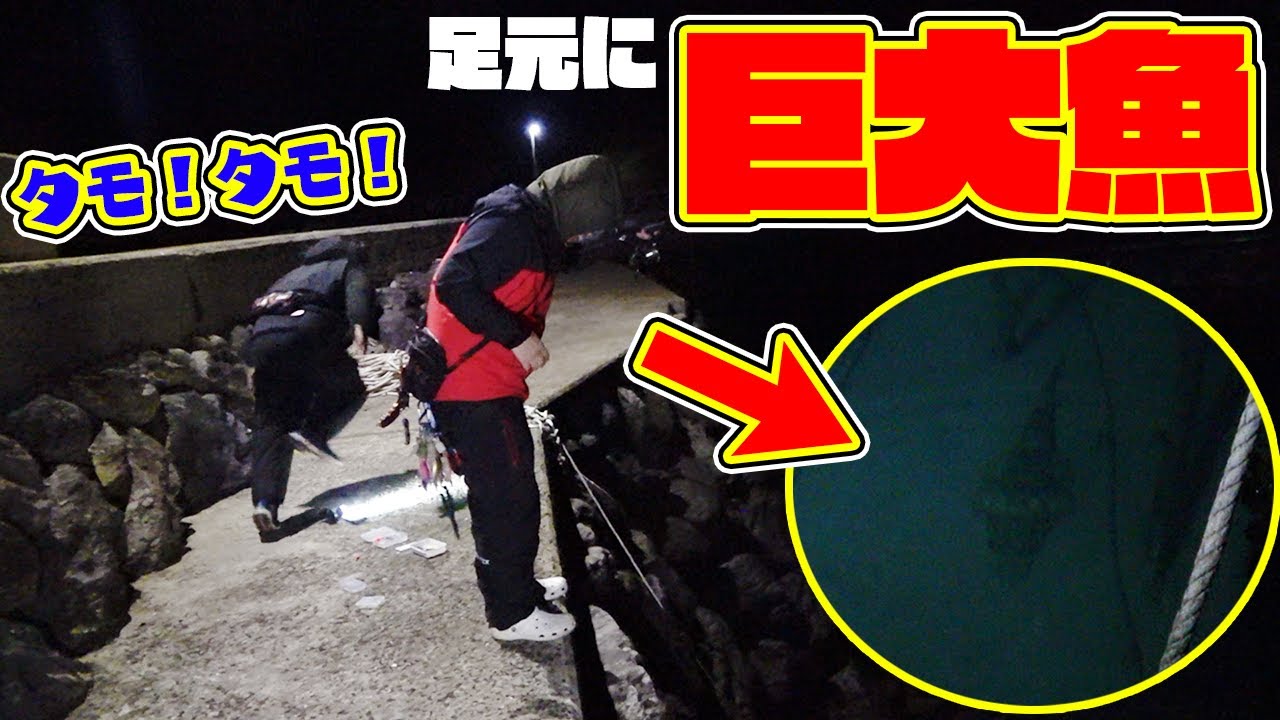 堤防から見えてる巨大魚の目の前にエサを落とすと・・・！？