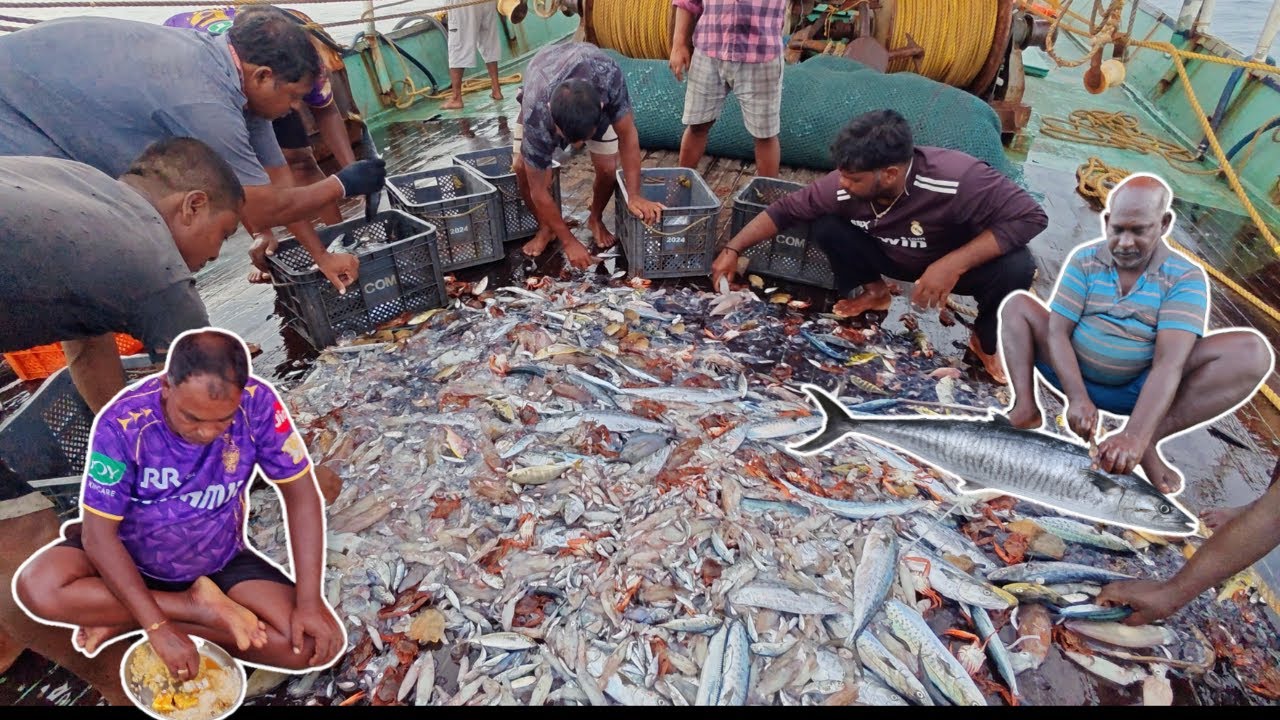 WOW🤩💢 Awesome Seer Fishes And Verity Fishes Cooking In Deep Sea💯‼️||#marine meals