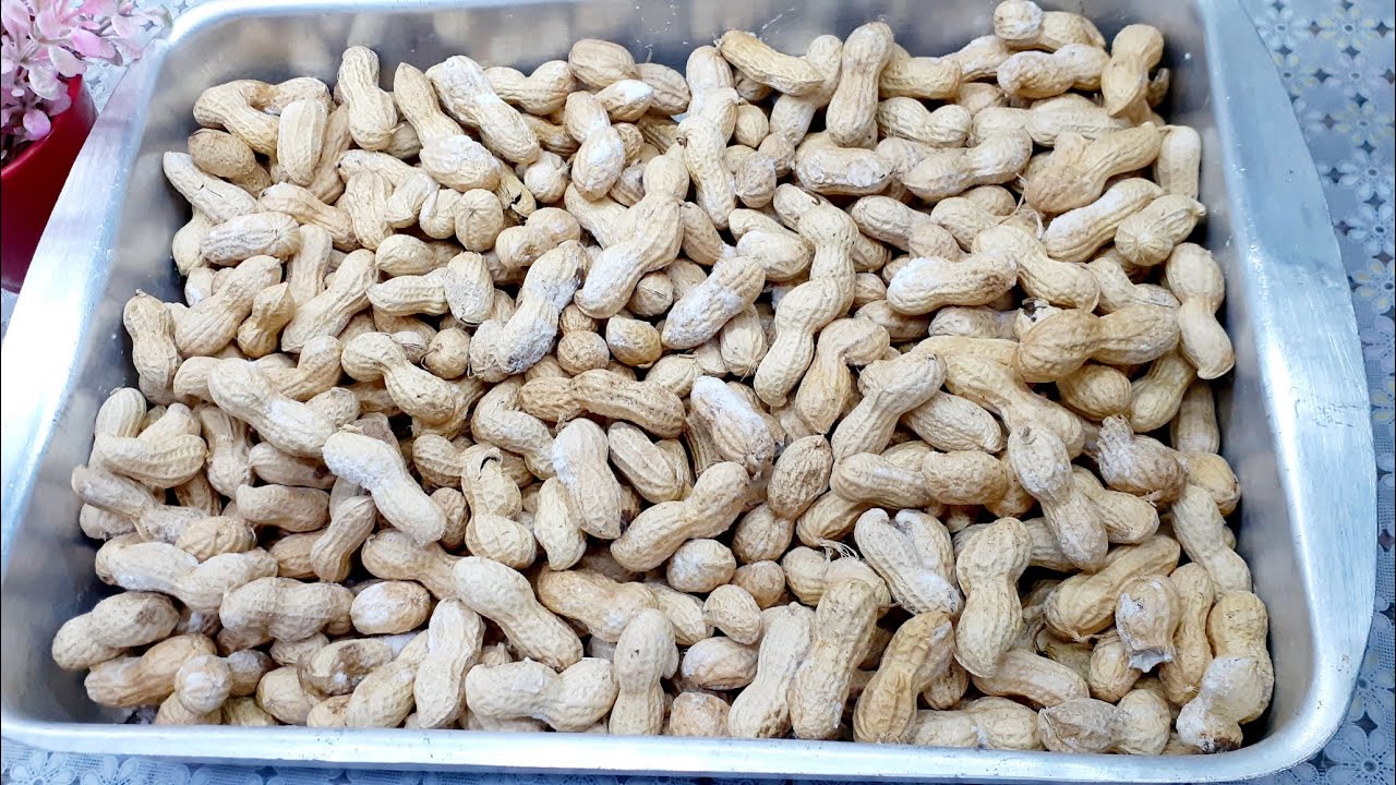 تحميص الفول السوداني بقشره بطريقه سهله ومظبوطه