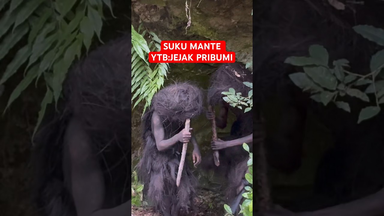 SUKU MANTE ASLI TERLIHAT JELAS #sukumanteasli #sukumantecantik